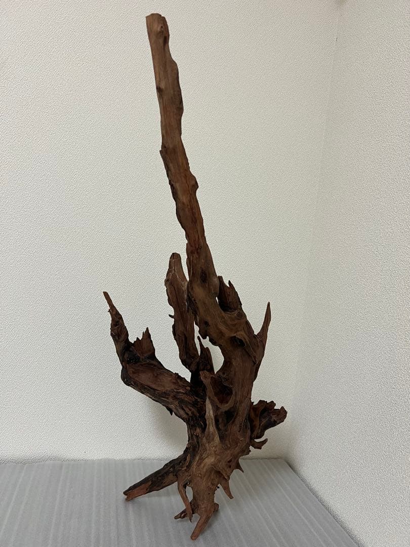 HX-080 流木　ホーンウッド　マシンガンウッド　アクアリウム　ブランチウッド