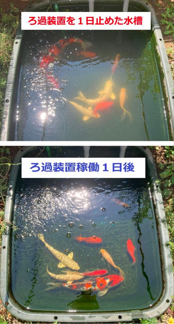 【DIY】三段式外部ろ過装置（個人製作濾過装置）【メダカ・金魚・錦鯉の屋外飼育】