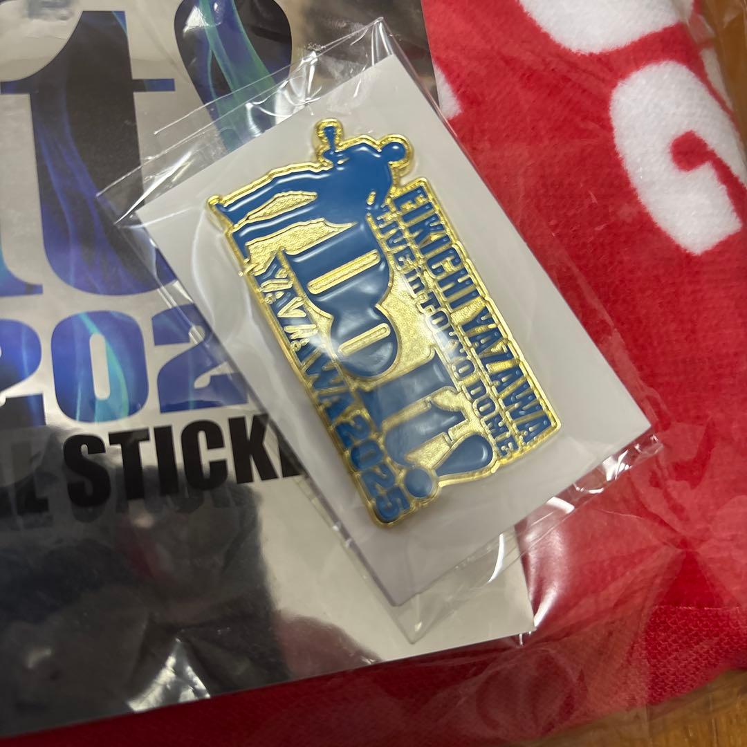 EIKICHI YAZAWA 2025 東京ドームグッズセット