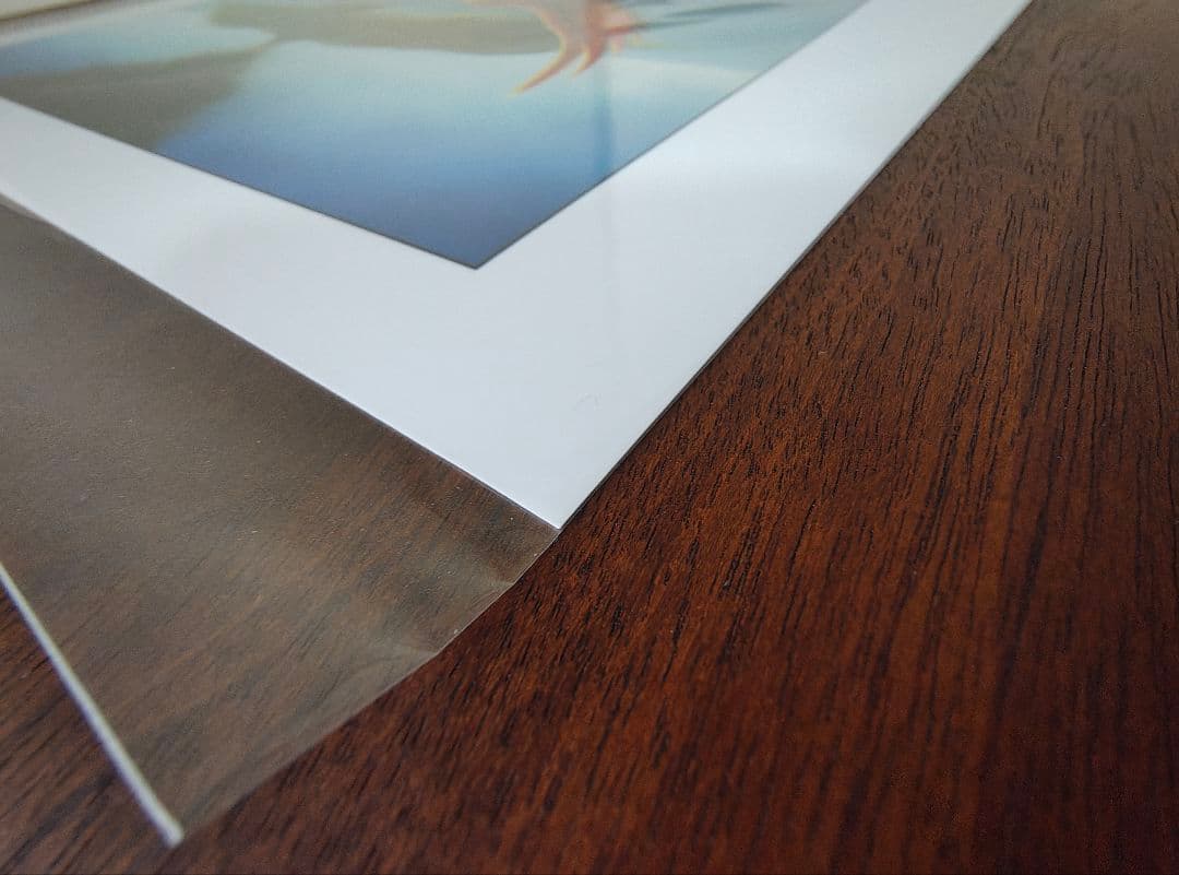 極楽鳥　Birds of Paradise 直筆サイン入りアートプリント １枚