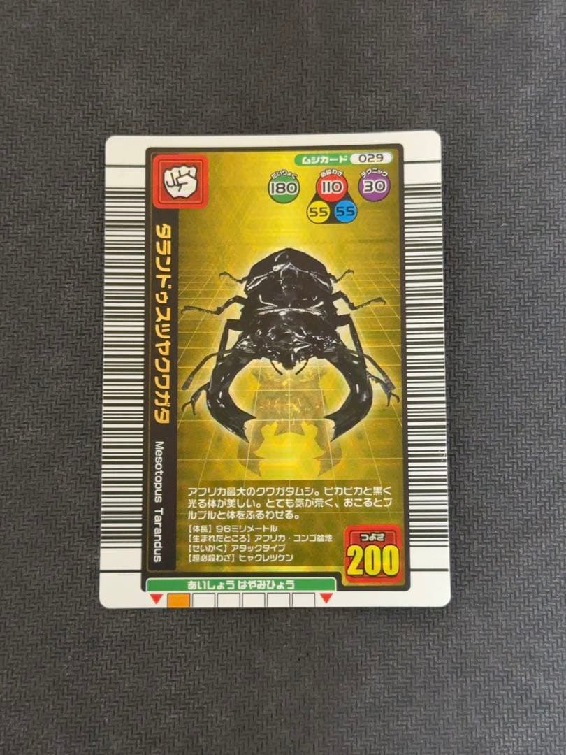 ムシキングカード　セット