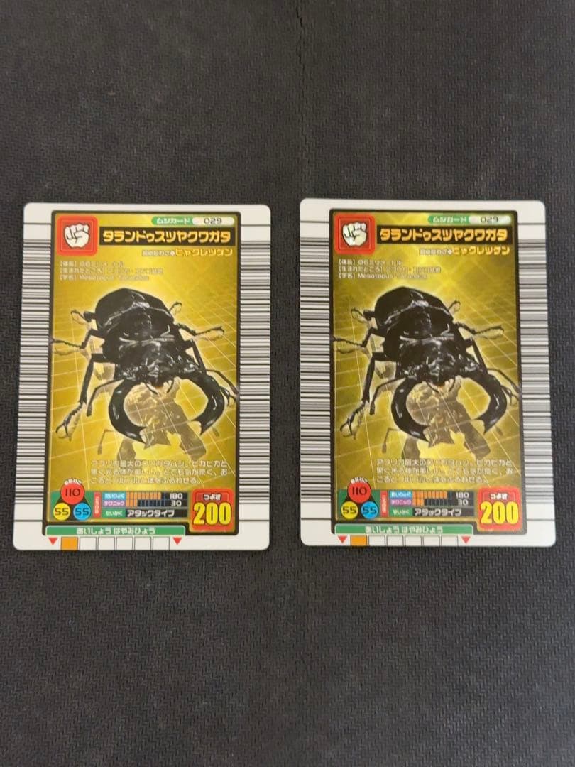 ムシキングカード　セット