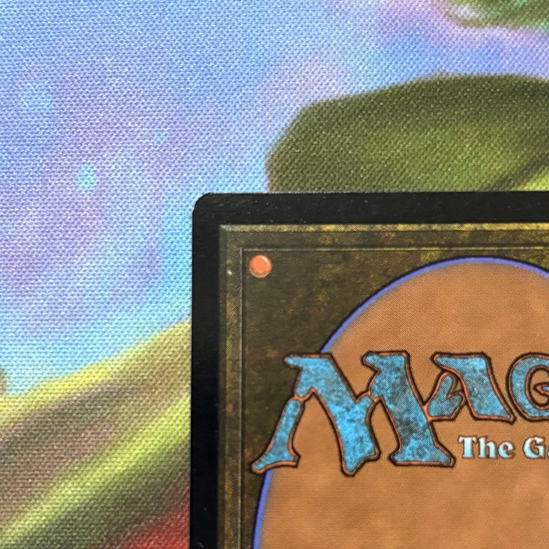 【新品】MTG FF アニマ Foil 日本語版 悲嘆