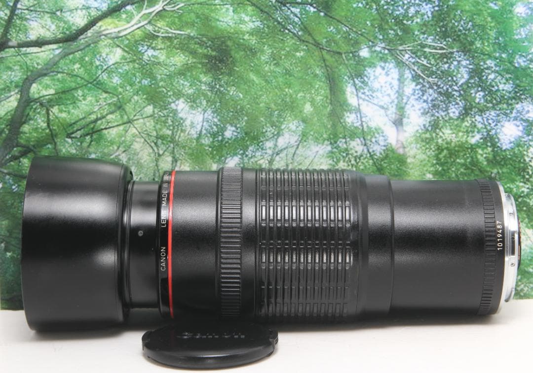 ☆コスパ抜群のLレンズ☆CANON EF 50-200mm F3.5-4.5L☆