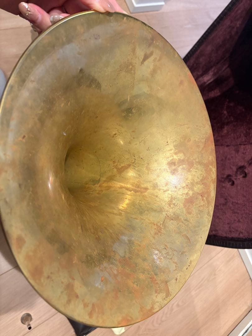 ホルン アレキサンダー 103