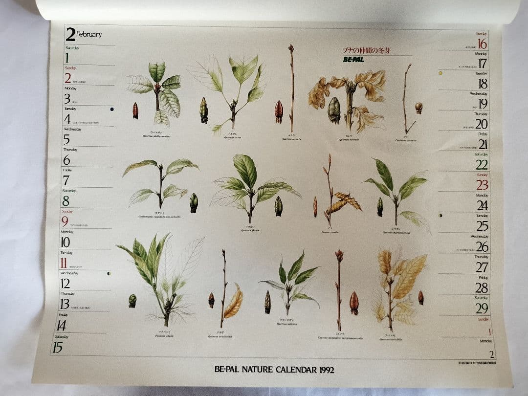 BE-PAL ビーパル カレンダー 新品未使用 1992年 ヴィンテージ