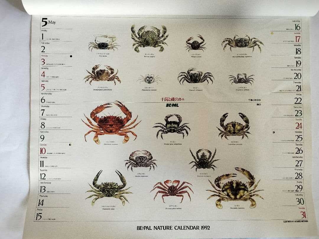 BE-PAL ビーパル カレンダー 新品未使用 1992年 ヴィンテージ
