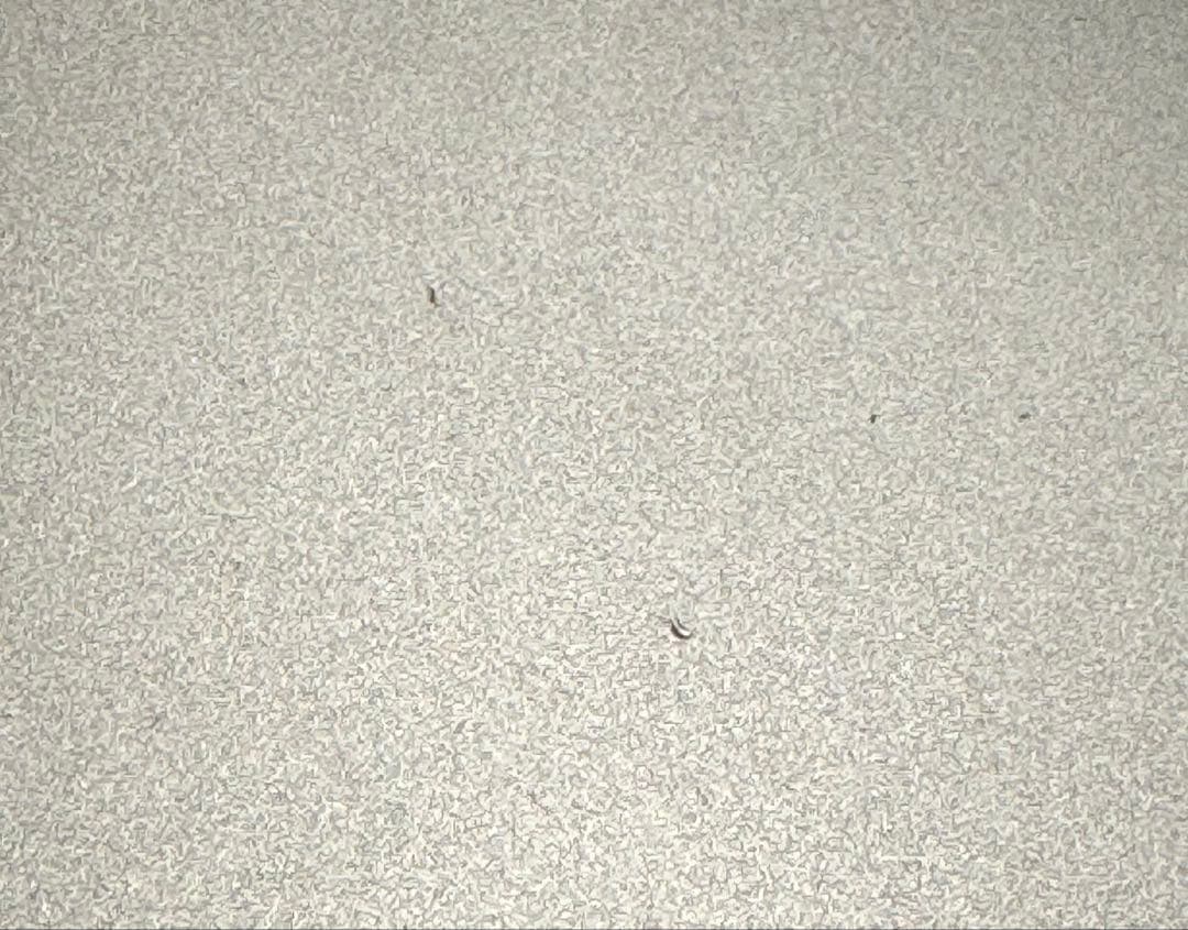 MacBook本体 MacBook Pro 13 16GB 512GB early2015