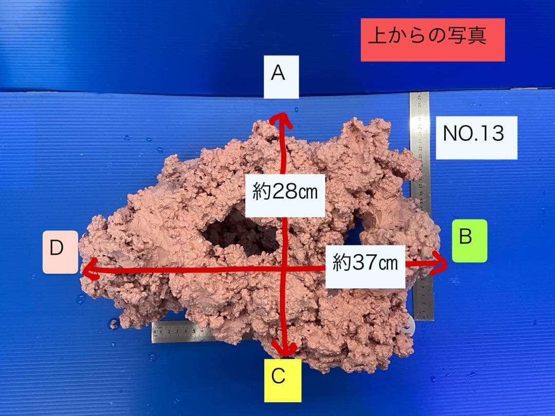 人工ライブロック　No.13 アク抜き済