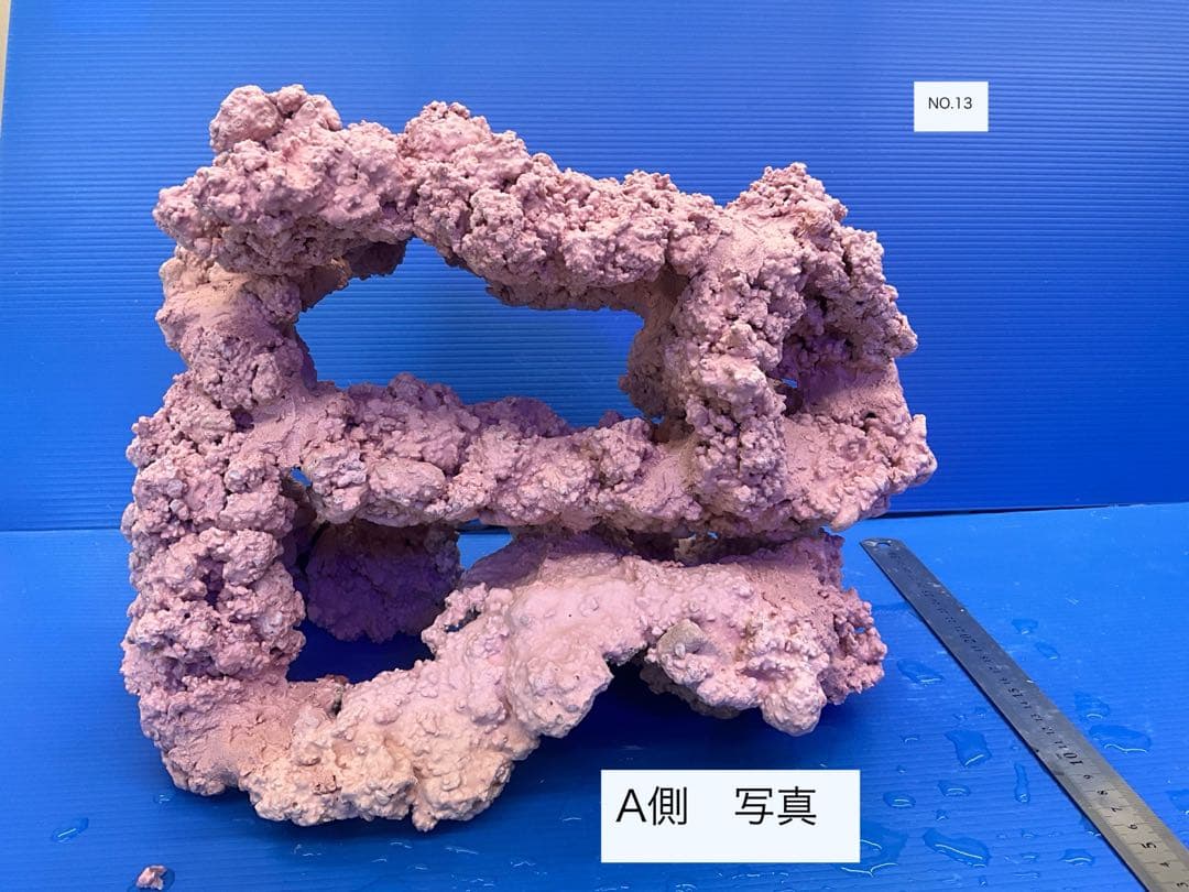 人工ライブロック　No.13 アク抜き済
