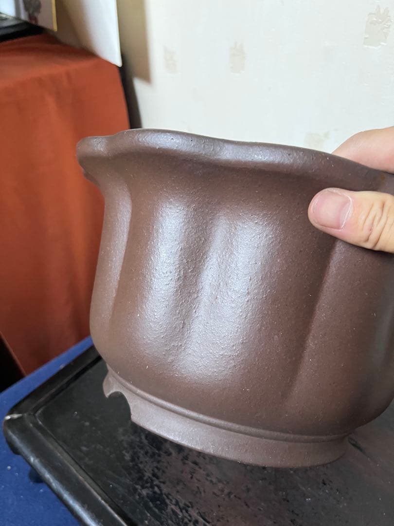 481 盆栽　盆栽鉢　植木鉢　和鉢　山秋