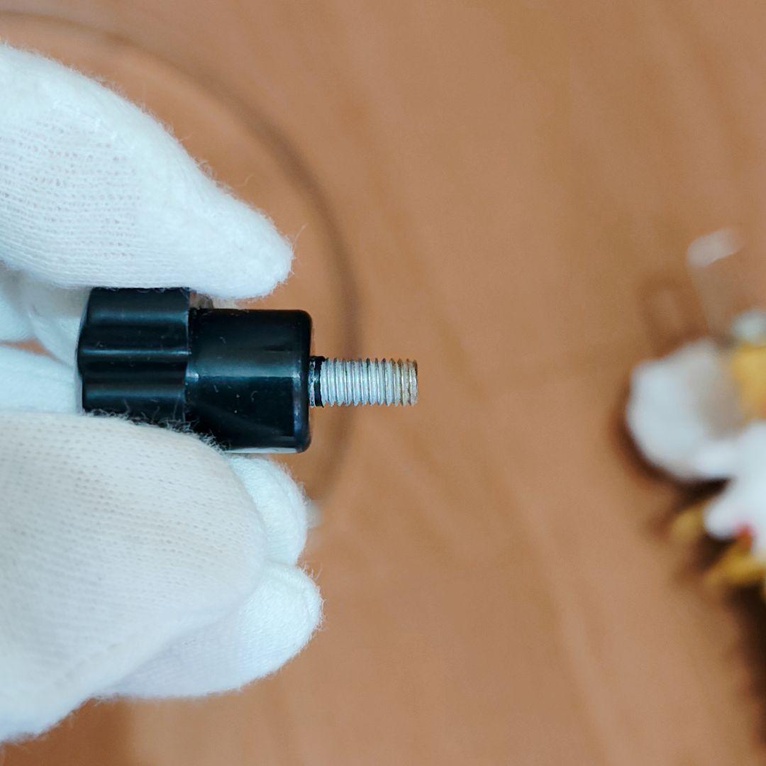 医学玄人 脊椎 骨盤 骨格模型 igakuro スタンド付き