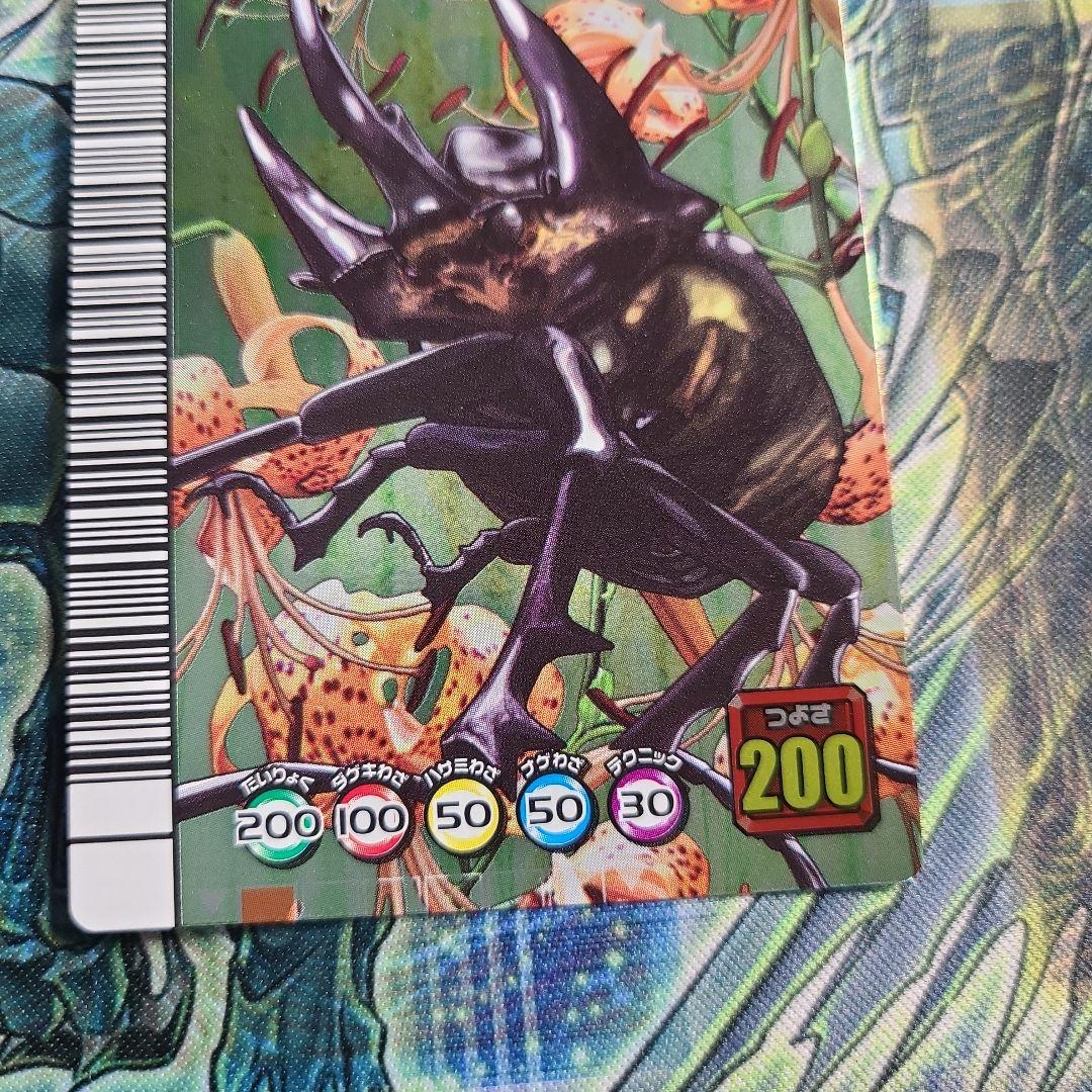 5周年 アクティオンゾウカブト