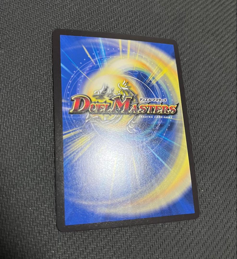 龍風混成 ザーディクリカ　金