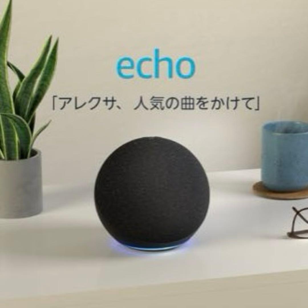 Alexa Echo 第4世代 ➕ switch Pod ハブミニ