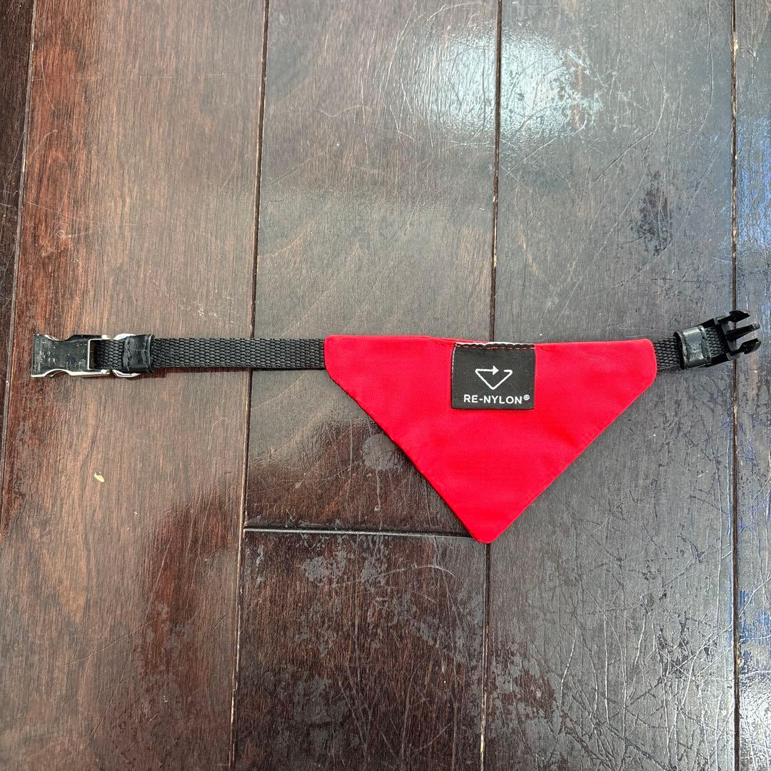 PRADA ナイロン製犬用猫用首輪 赤