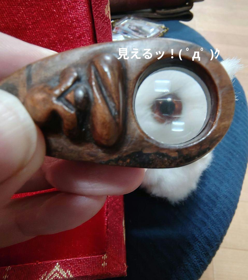 プラクルアンを鑑定する魔法のルーペ！なんとハンドメイド品！プラピッタ効果付！