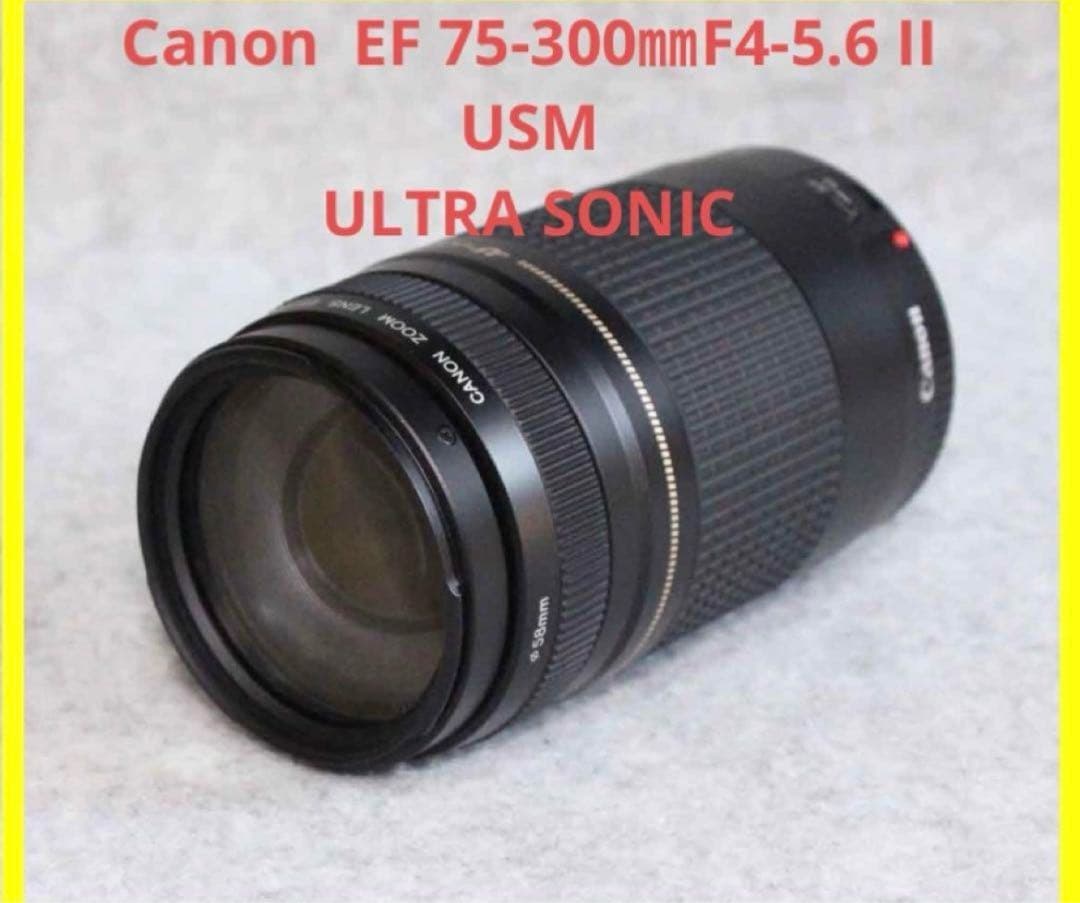 人気の望遠レンズ☆キヤノン Canon EF75-300㎜