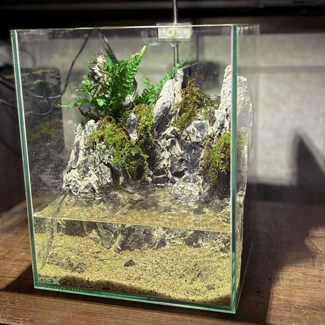 滝の流れるアクアテラリウム　No.1141