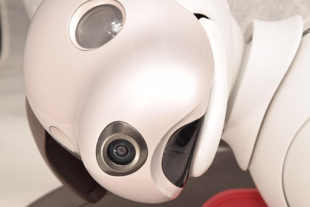 ドック診断 A判定 限定首輪3色 ソニー SONY アイボ ERS-1000