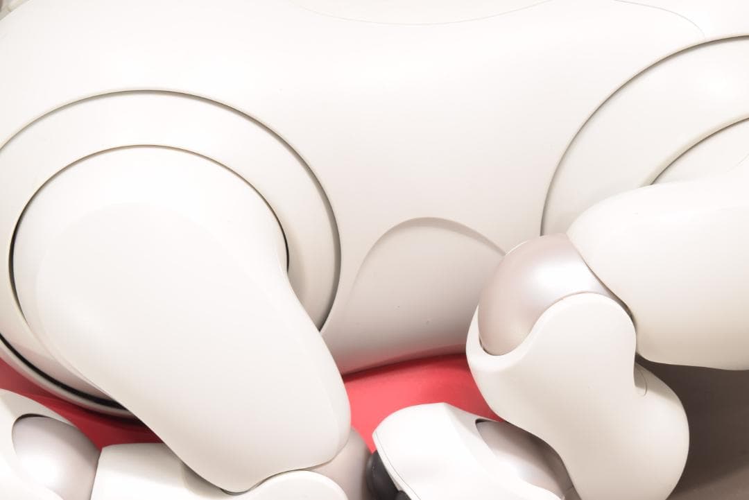 ドック診断 A判定 限定首輪3色 ソニー SONY アイボ ERS-1000