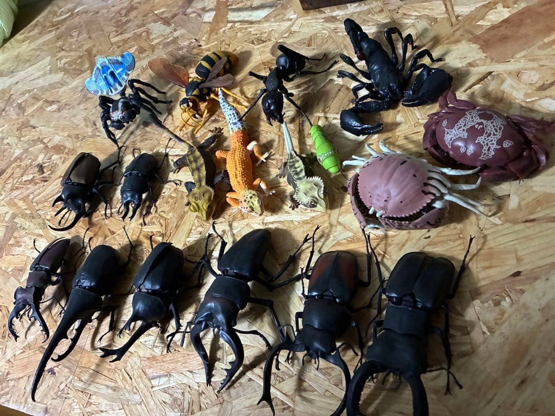 いきもの大図鑑　セット販売