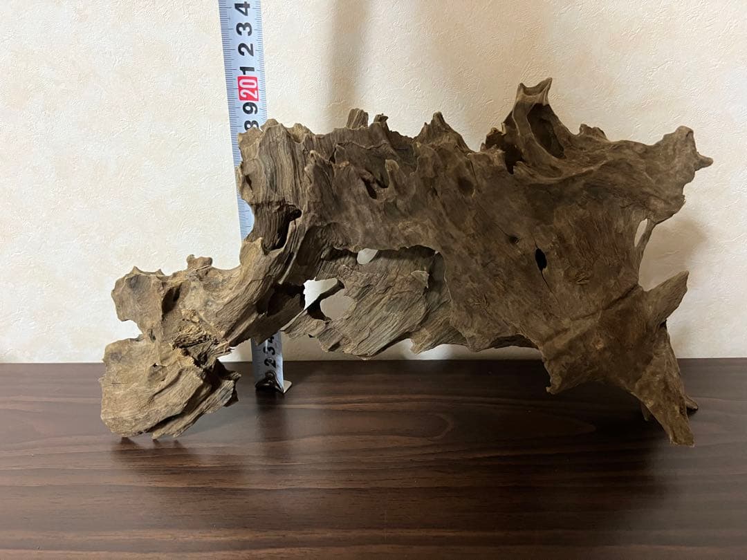 (XM-122)流木　マシンガンウッド　アクアリウム　ブランチウッド　沈水確認済