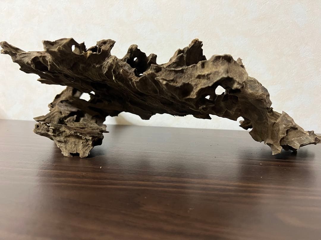 (XM-122)流木　マシンガンウッド　アクアリウム　ブランチウッド　沈水確認済