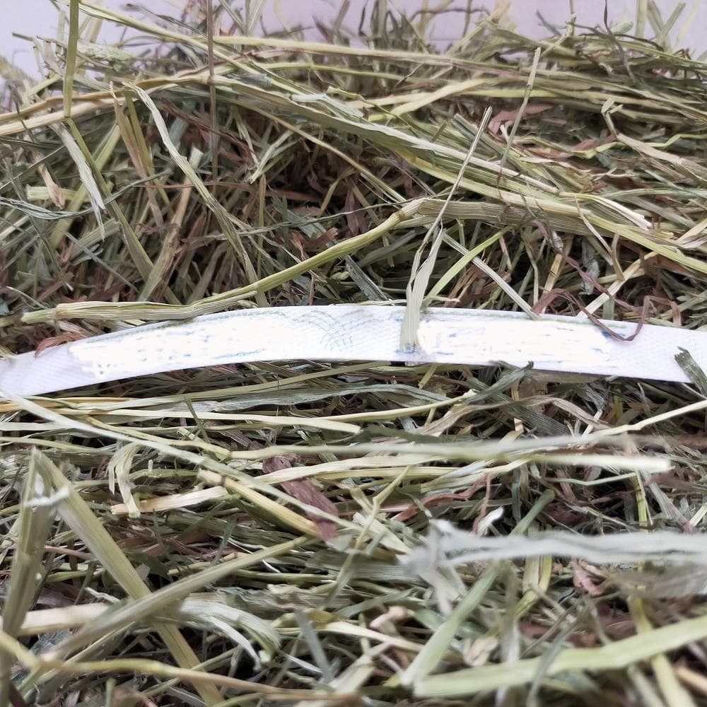 US産 チモシー 100kg ２番刈 ソフトスーパープレミアム