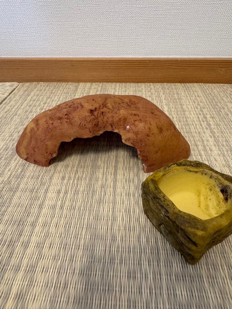 Exo Terra 中型飼育ケージ ヒーター付き