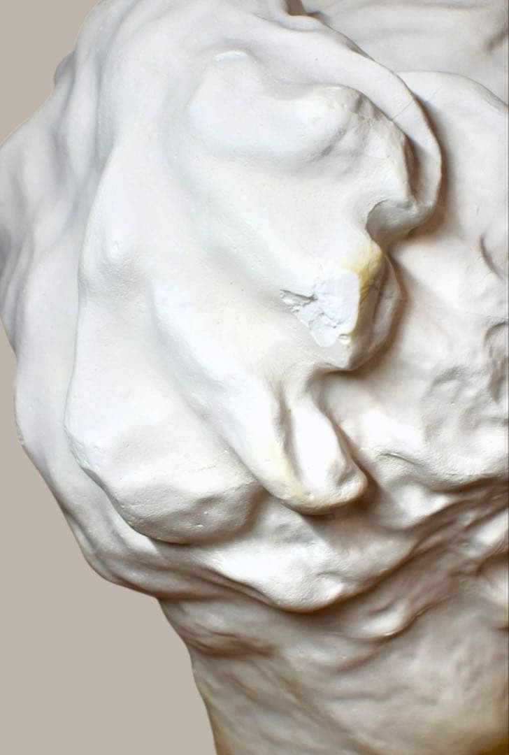 石膏像　古代ヴィーナス　アバタのヴィーナス　首像　デッサン