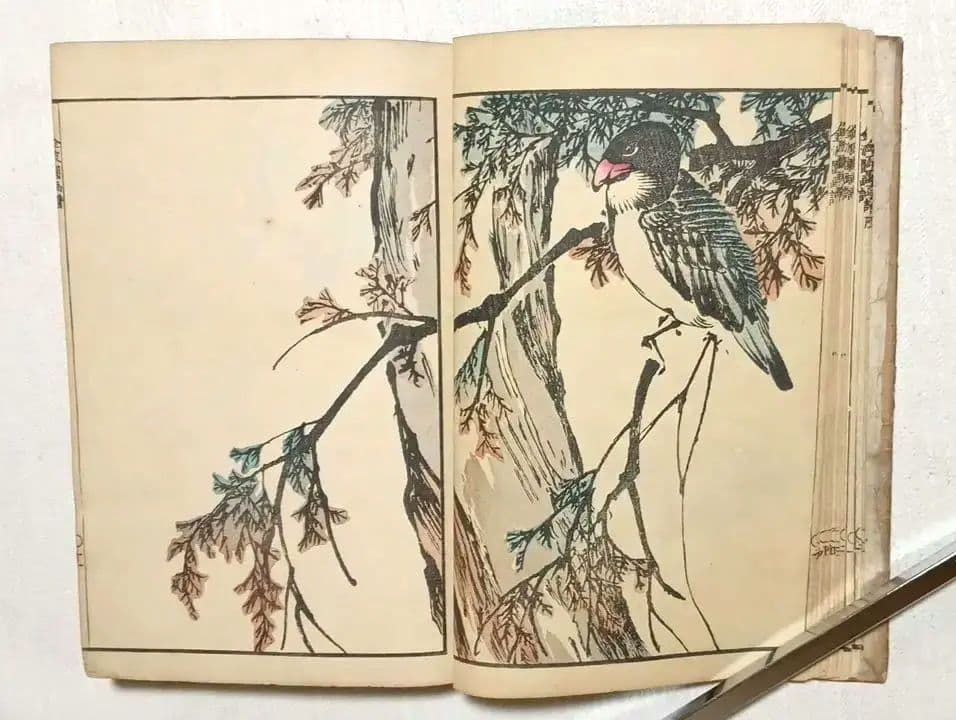 金波園画譜No.2（色刷り木版画本) 河村文鳳画、文化8年出版