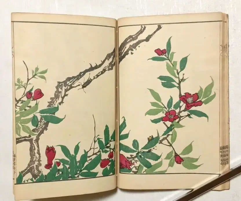 金波園画譜No.2（色刷り木版画本) 河村文鳳画、文化8年出版