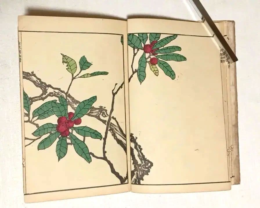 金波園画譜No.2（色刷り木版画本) 河村文鳳画、文化8年出版