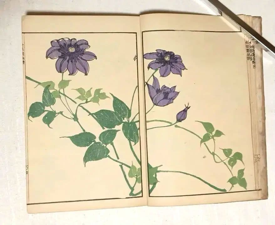 金波園画譜No.2（色刷り木版画本) 河村文鳳画、文化8年出版