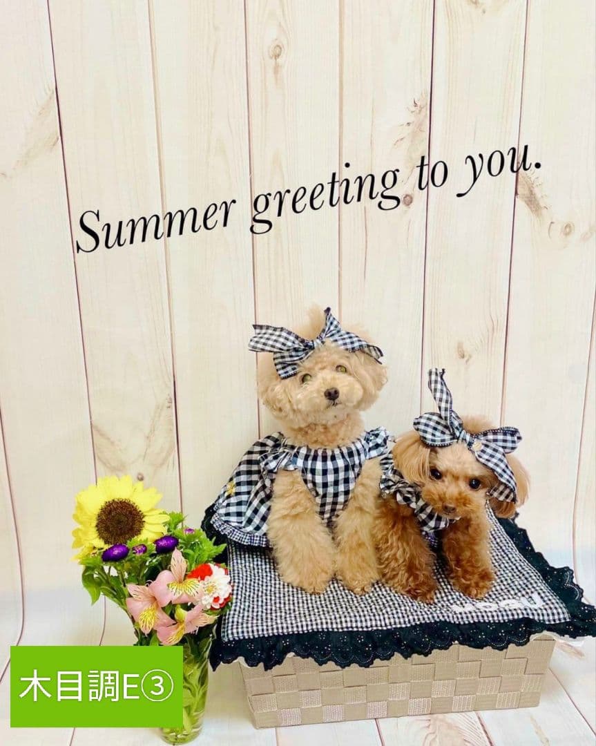 背景布　【　秋A　】　サンプル