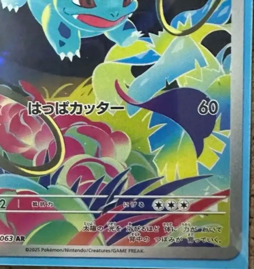 メガフシギバナex　SAR　ポケモンカードゲーム