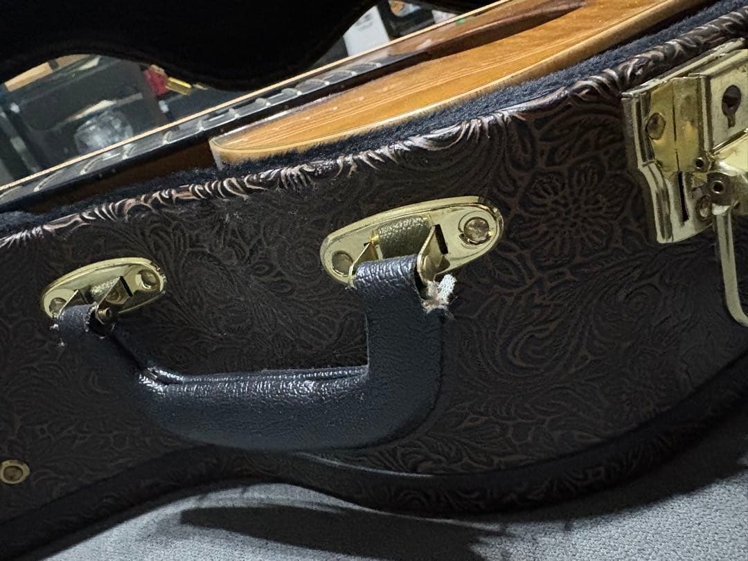 ルナ・ヴィスタ・イーグル　アコースティック・エレクトリックギター値下げ受け付け中