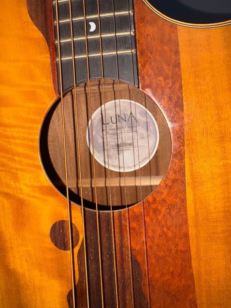 ルナ・ヴィスタ・イーグル　アコースティック・エレクトリックギター値下げ受け付け中