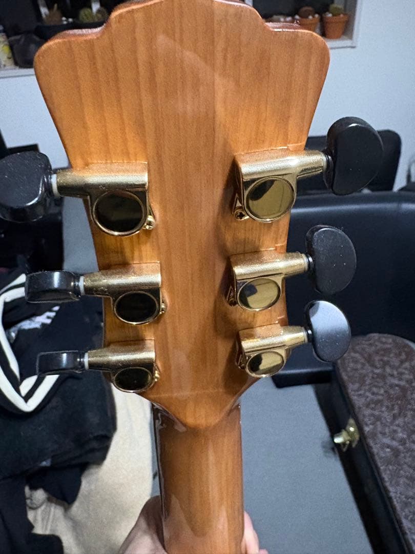 ルナ・ヴィスタ・イーグル　アコースティック・エレクトリックギター値下げ受け付け中