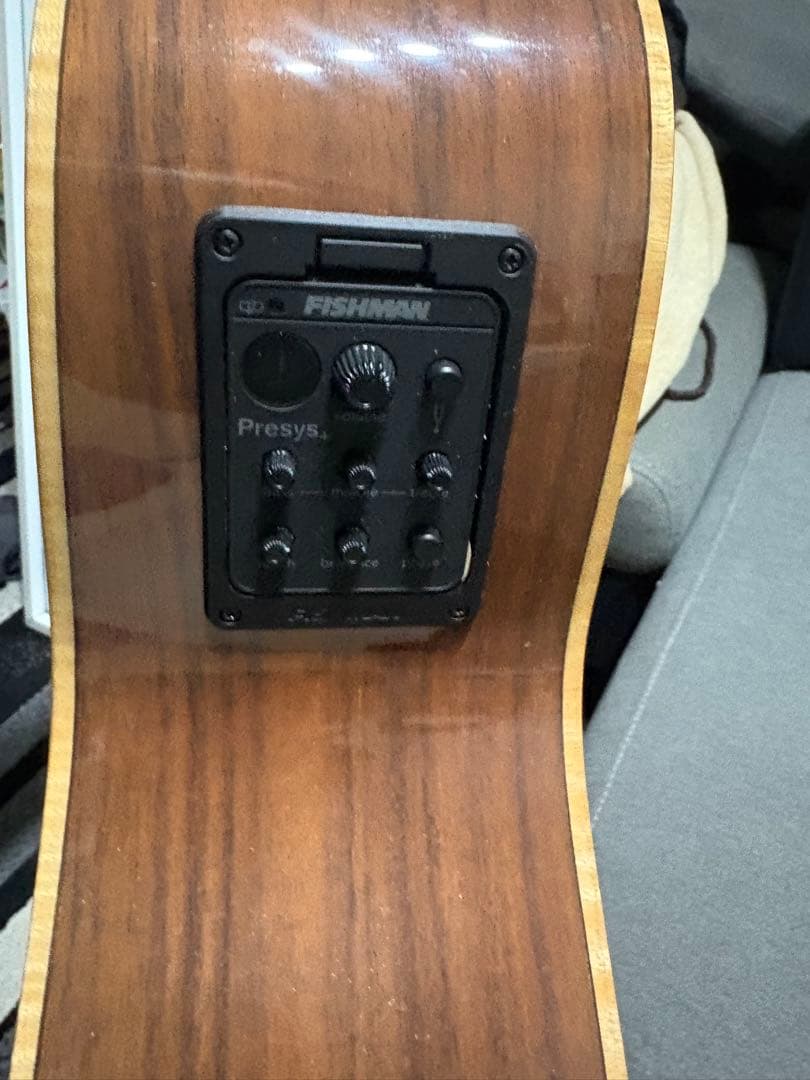 ルナ・ヴィスタ・イーグル　アコースティック・エレクトリックギター値下げ受け付け中