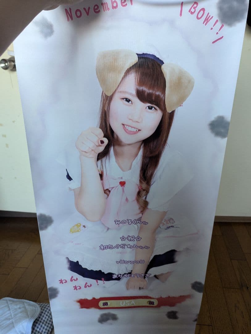 （現在非売品につきレア物）めいどりーみん　うさ　タペストリー10枚セット