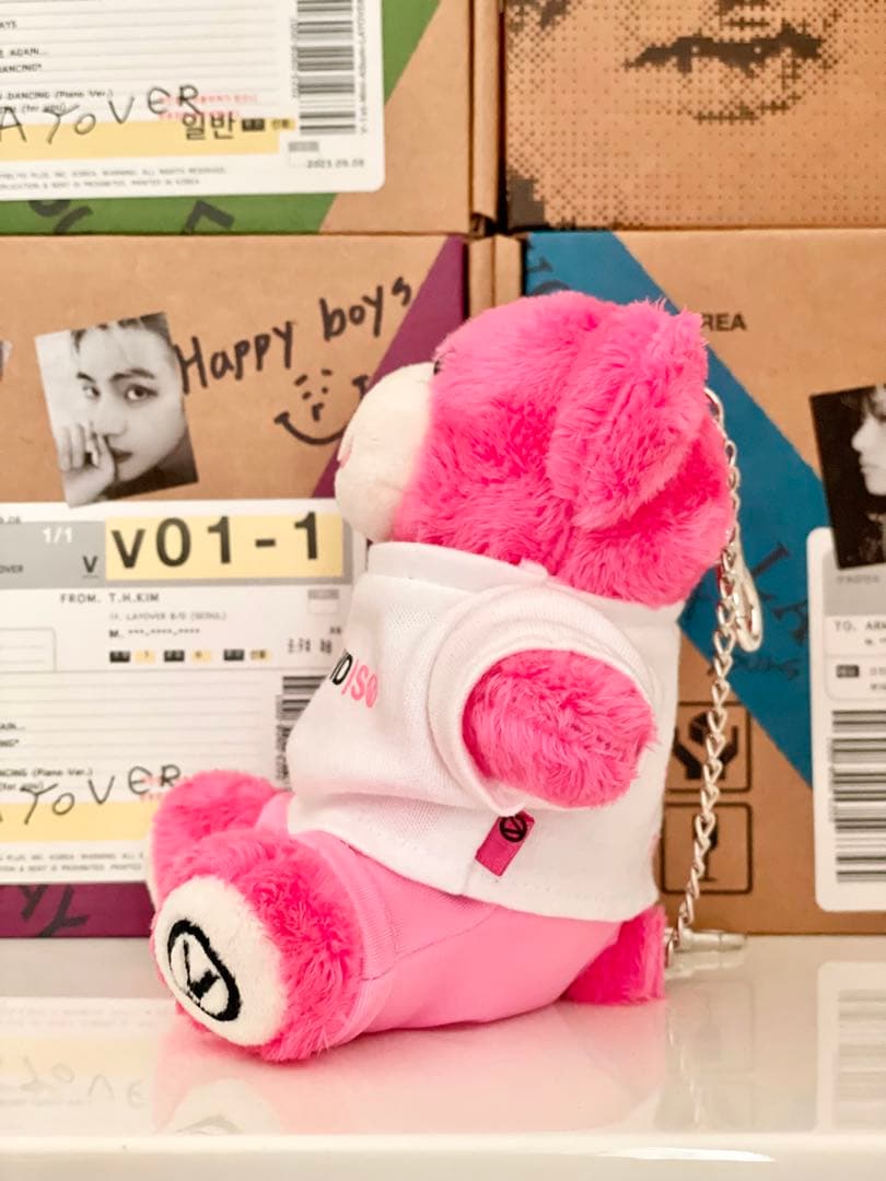 BTS テテ　FRI(END)S Bear Keyring ぬいぐるみ服