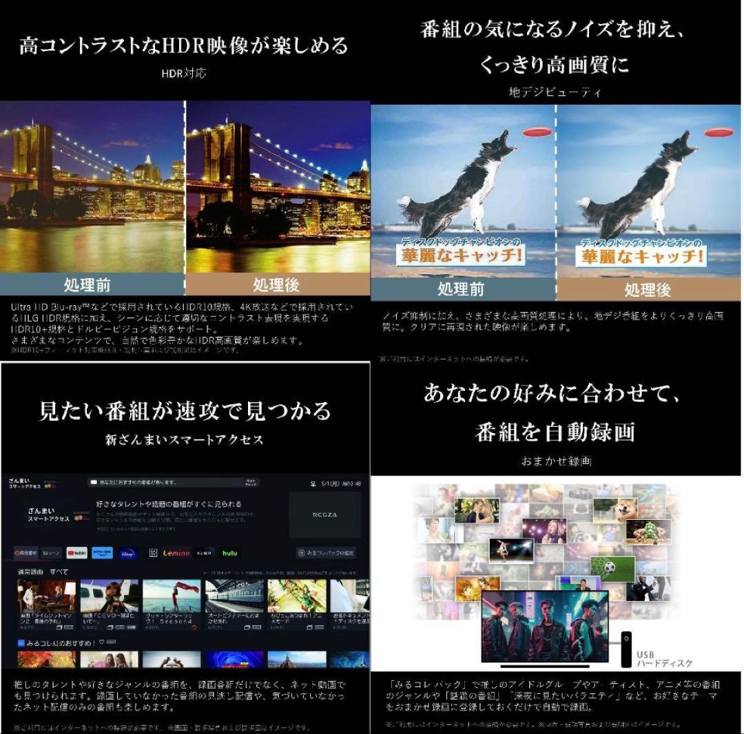 REGZA 液晶テレビ 4K 65V型 E350M