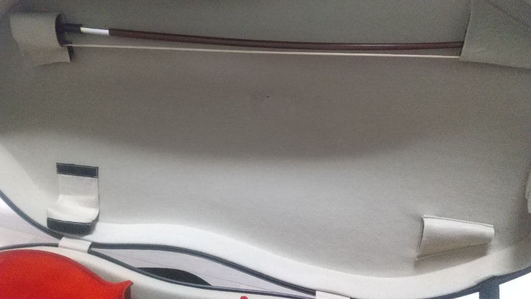 Playtech プレイテック チェロ 4/4 ハードケース付き