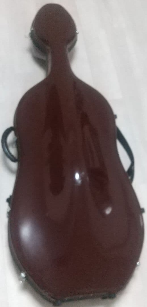 Playtech プレイテック チェロ 4/4 ハードケース付き