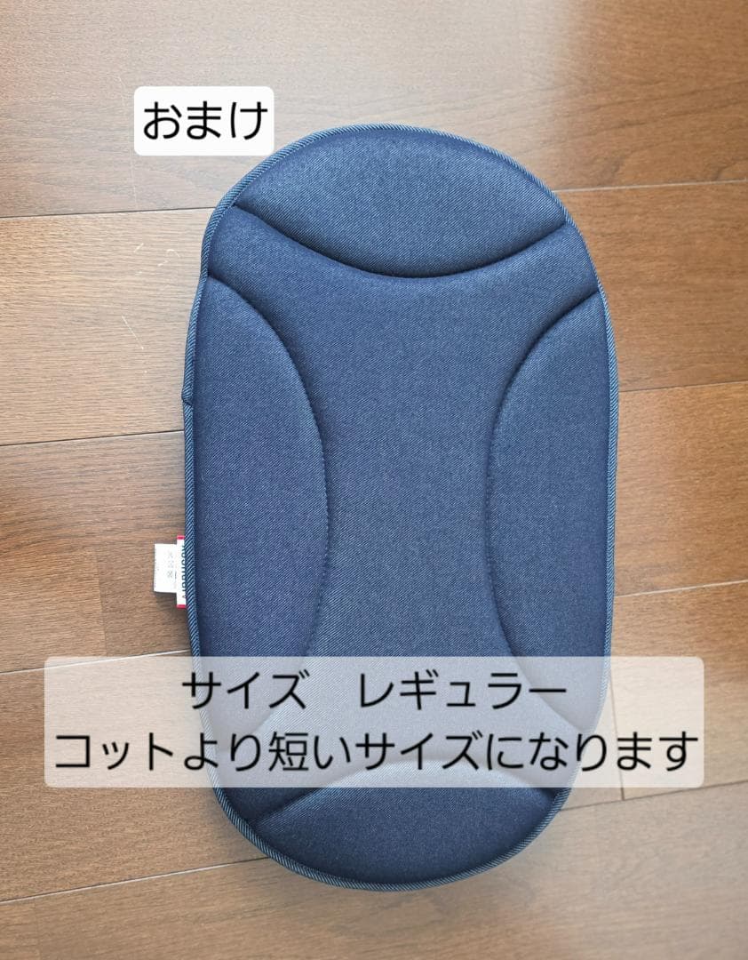 BEAMS DESIGN AIRBUGGY DOME3(限定品)ラージサイズ中古