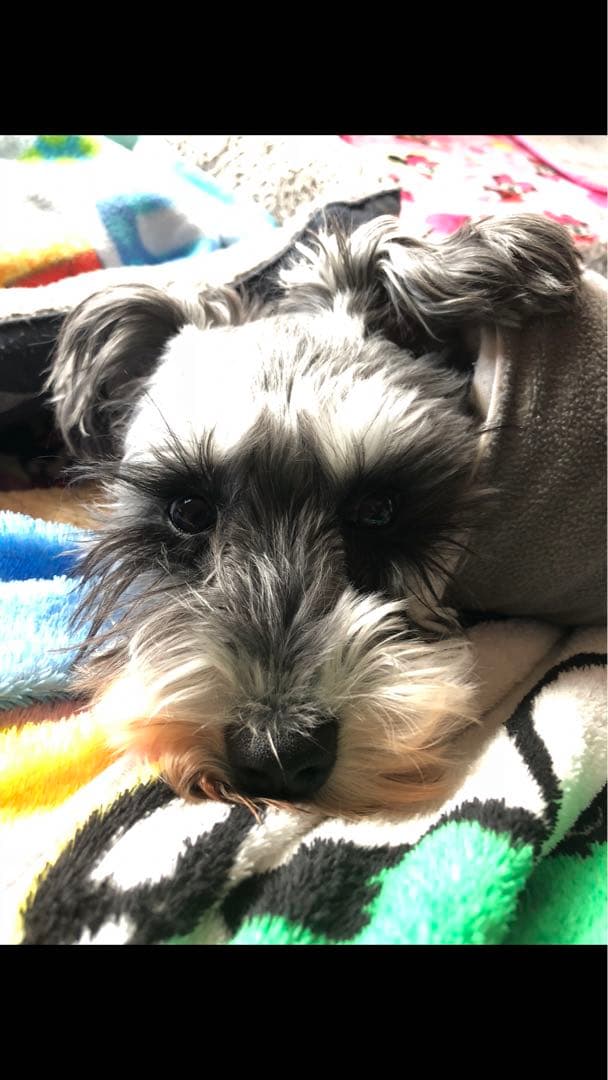 miniさま  確認用　その③