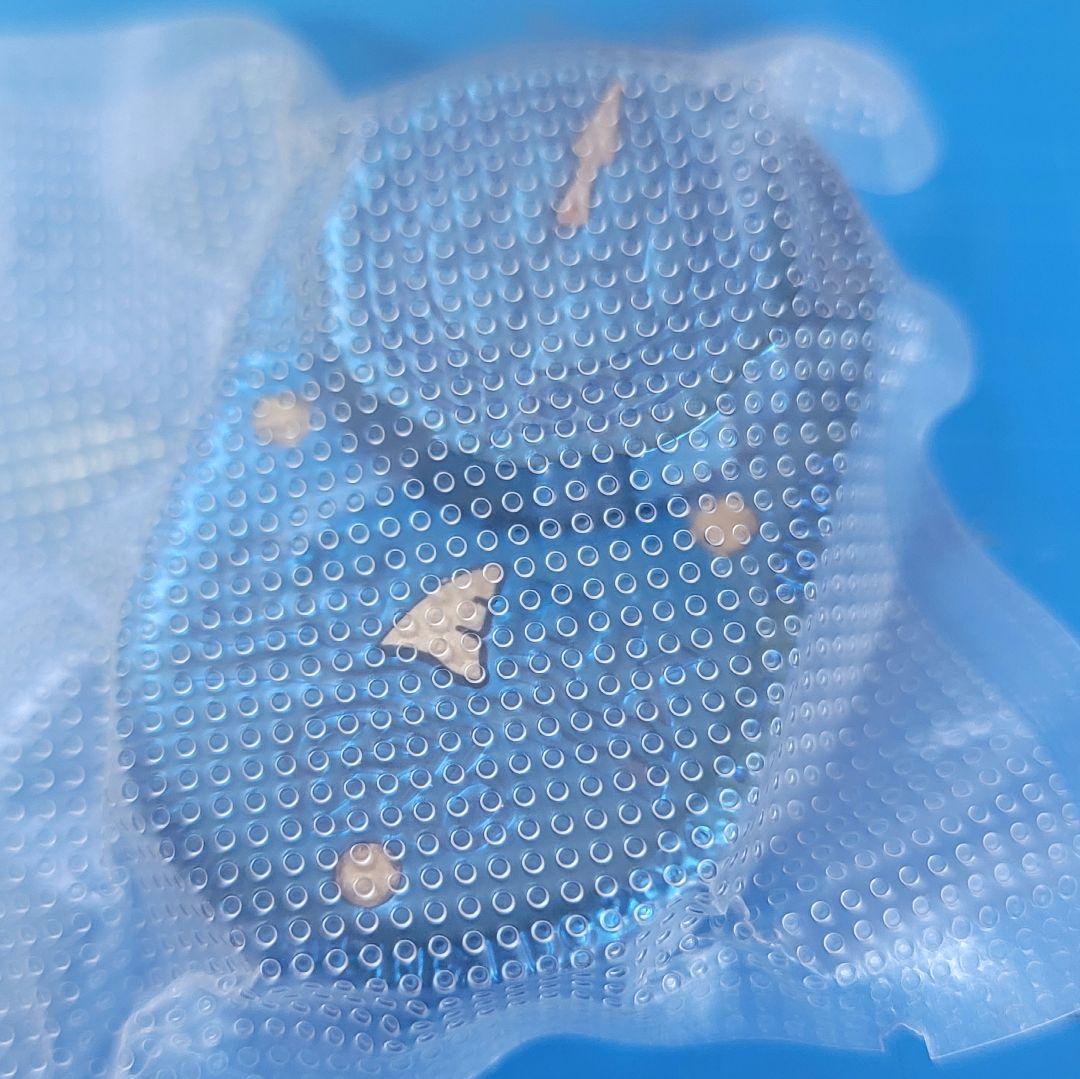 新品未開封 フィジェットトイ スライダー EDC Shark シャーク ブルー