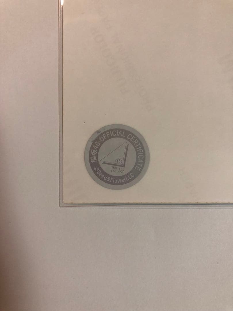 櫻坂46 向井純葉 生写真 直筆サイン 三期生ブックレット衣装 ヒキ(おまけ付)